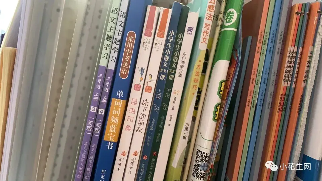 绳梯训练篮球_2